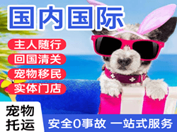 萨尔图机场空运国际宠物托运 【国